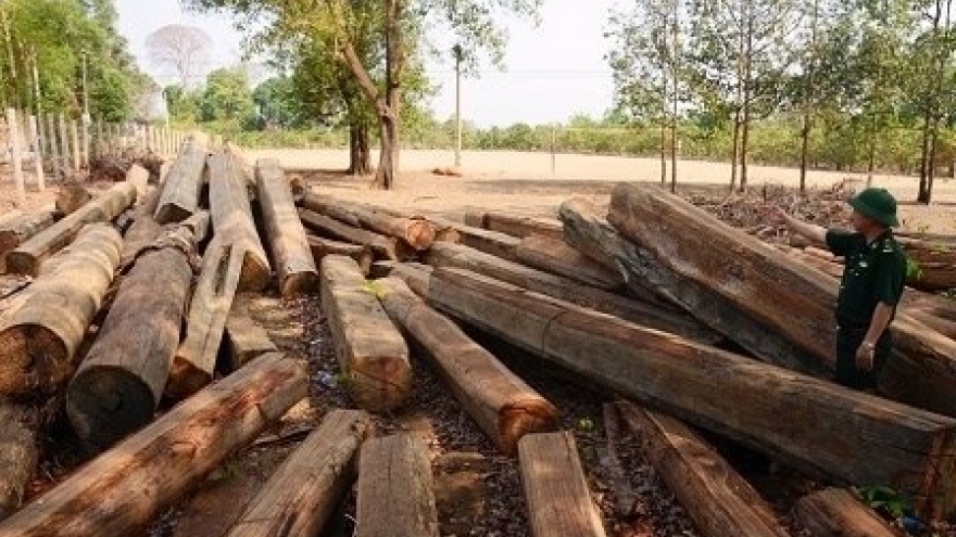 US Justice Department provides anti-timber trafficking training in Vietnam
