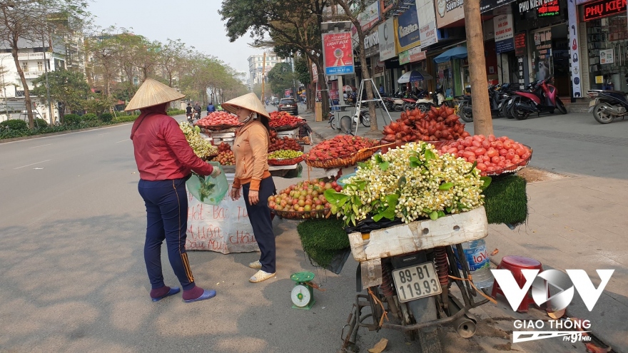 Hương bưởi thơm cho bộ hành bối rối