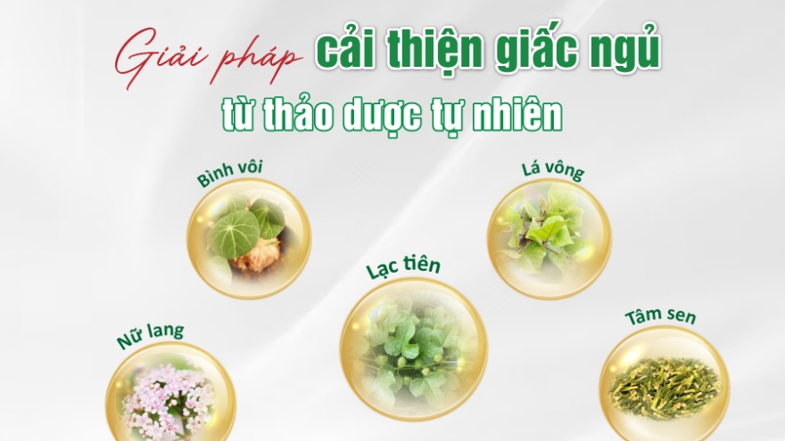 Giải pháp cải thiện giấc ngủ từ thảo dược tự nhiên