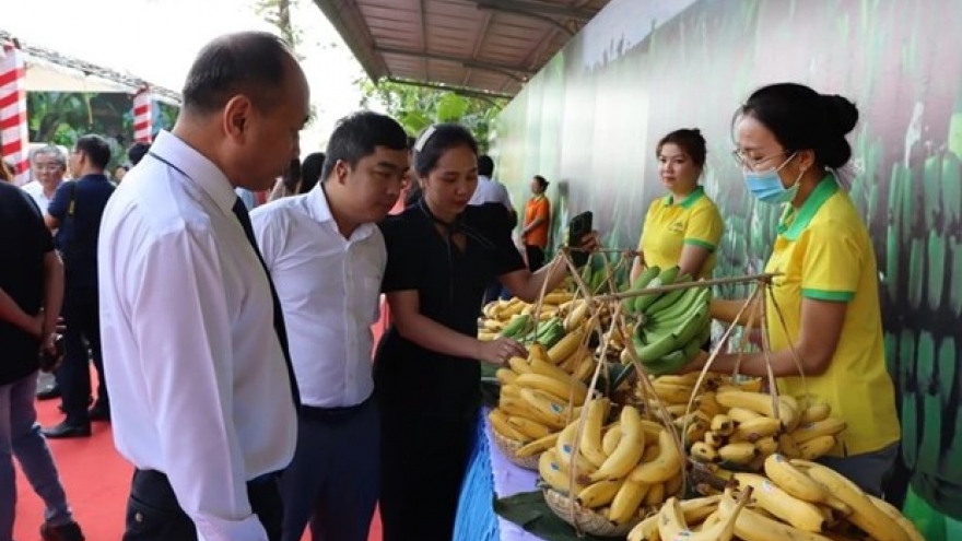 Bright prospect for agro-forestry-fishery exports to Japan