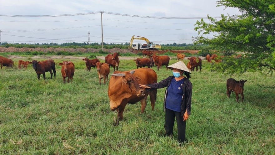 Kiểm soát thịt và phụ phẩm, hàng Việt bị siết chặt - hàng ngoại bỏ ngỏ