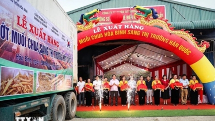 Hoa Binh exports first lot of pickled chili peppers to RoK
