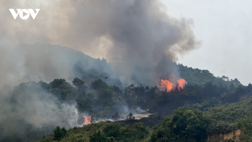 Gió Ô Quý Hồ thổi mạnh, tái diễn nguy cơ cháy rừng tại Sa Pa