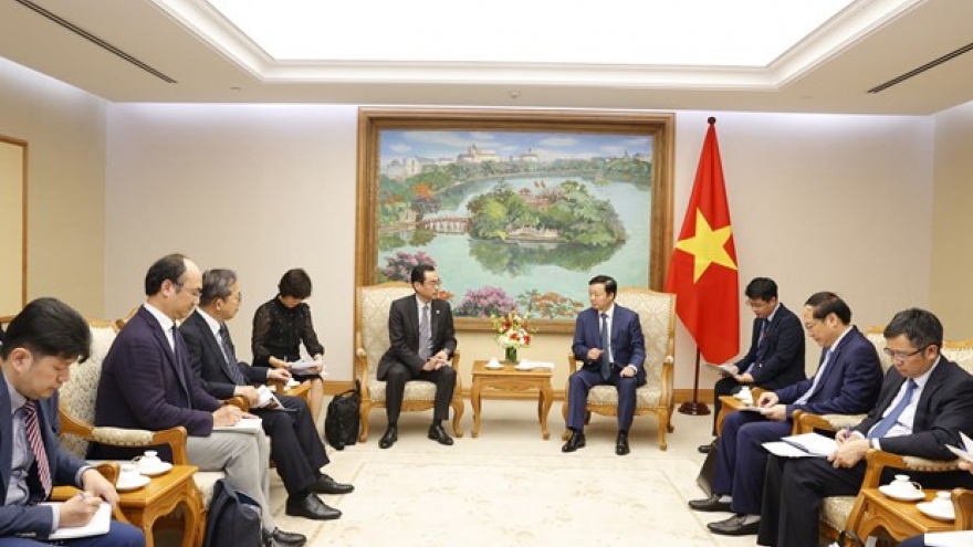 Vietnam, Japan promote financial mechanisms in green energy transition projects