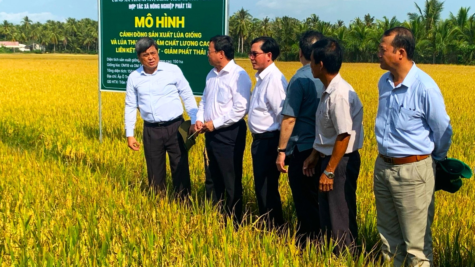 HTX Phát Tài – mô hình sử dụng hiệu quả NPK Phú Mỹ