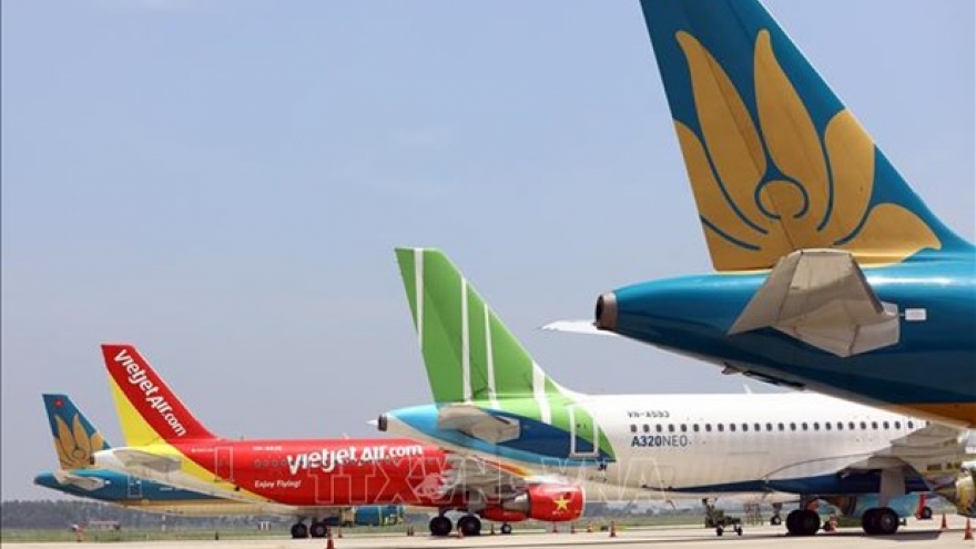 Domestic airlines’ fleets likely to shrink in two years: CAAV