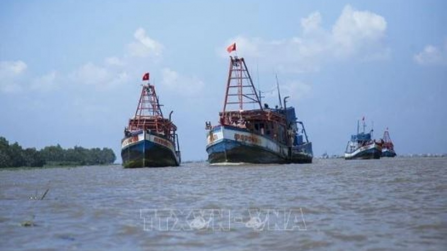 Fishing vessels’ violations of foreign waters gradually curbed: border guard official