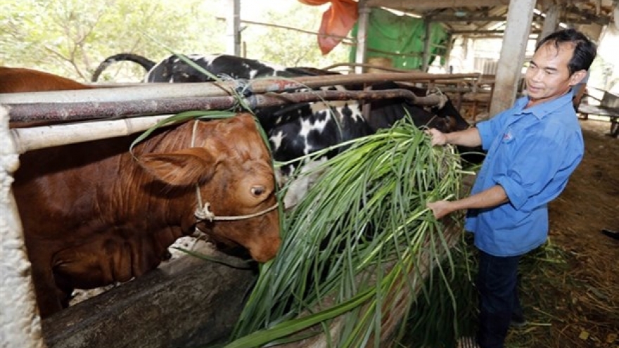 Vietnam has over 1.58 million poor, near-poor households in 2023: Ministry