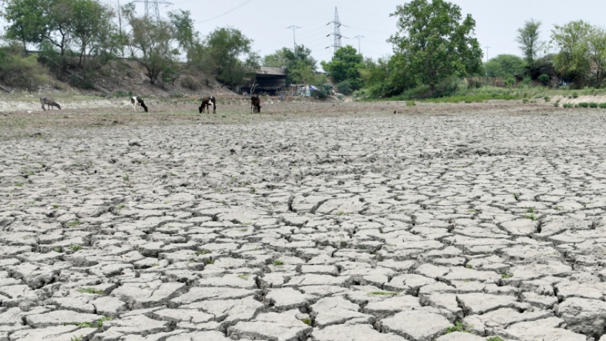 Ấn Độ chuẩn bị đón mùa hè nóng hơn trong năm nay vì El Nino