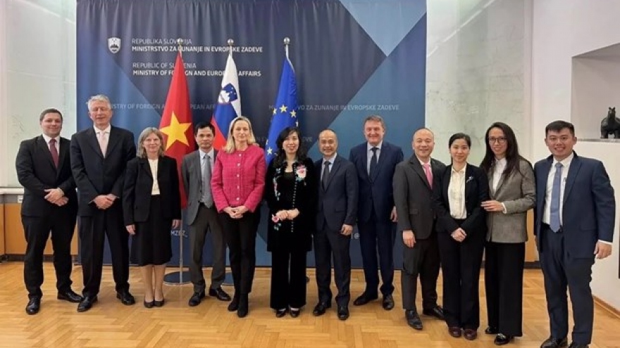 Vietnam treasures ties with Slovakia: Deputy FM