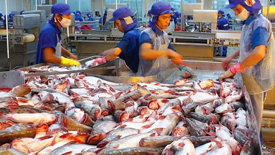 Positive signs ahead for Vietnamese seafood exports to US