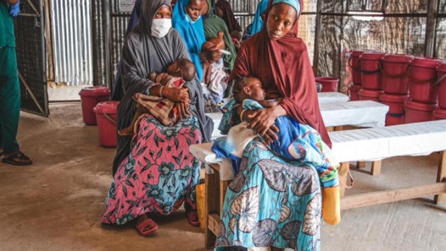 Khủng hoảng nhân đạo gia tăng ở Tây Bắc Nigeria