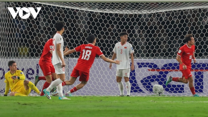 Vietnam suffer disappointing loss to Indonesia in World Cup qualifiers