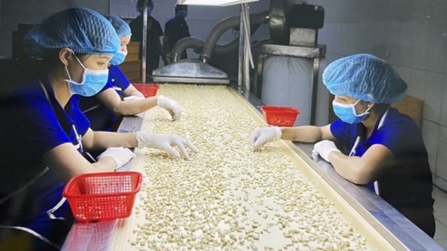 Vietnamese economy forecast to expand at 5.5 % in Q1