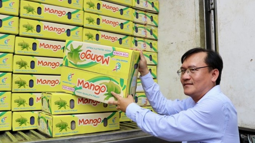 An Giang province exports first batch of acacia mangoes to RoK