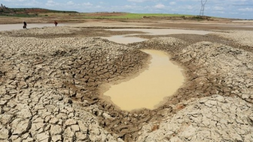 Nhiều giải pháp hạn chế hạn mặn xâm nhập đồng bằng sông Cửu Long
