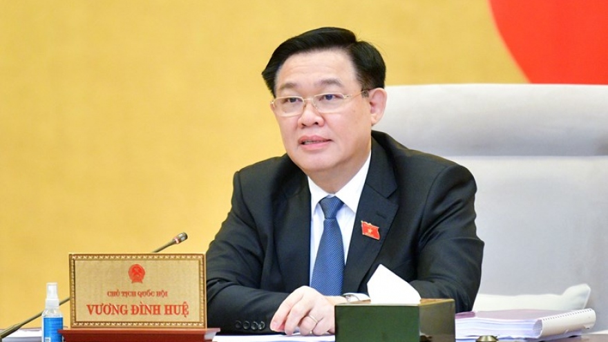 Chủ tịch Quốc hội Vương Đình Huệ: "Phát triển ngành dược là rất quan trọng"