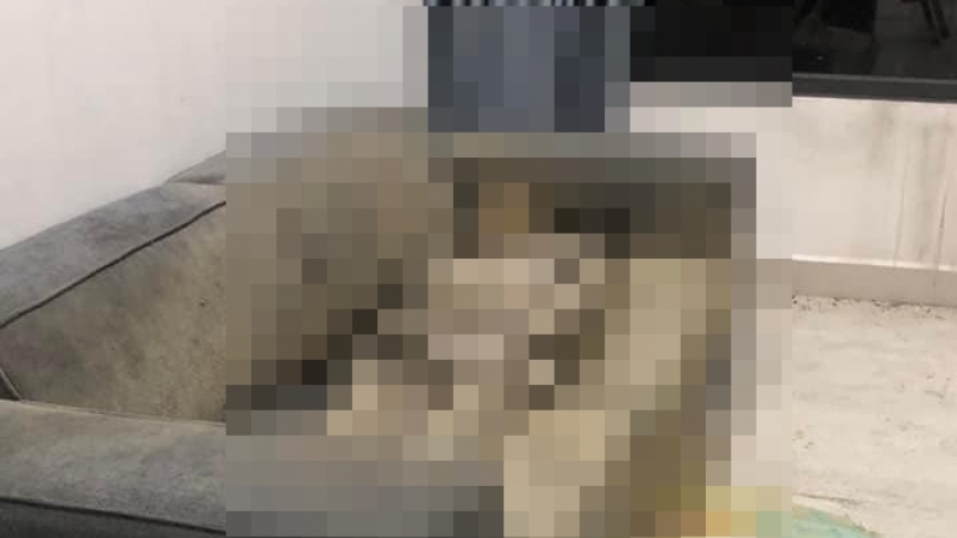 Điều tra vụ phát hiện "thi thể khô" trên ghế sofa trong căn hộ chung cư ở Hà Nội