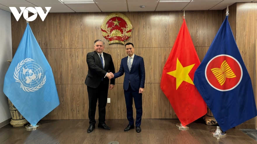 Ambassador Dang Hoang Giang hosts Deputy FM of Bosnia and Herzegovina