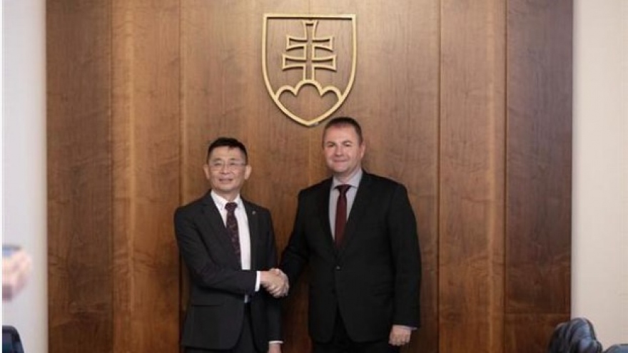 Vietnam, Slovakia strengthen delegation exchanges