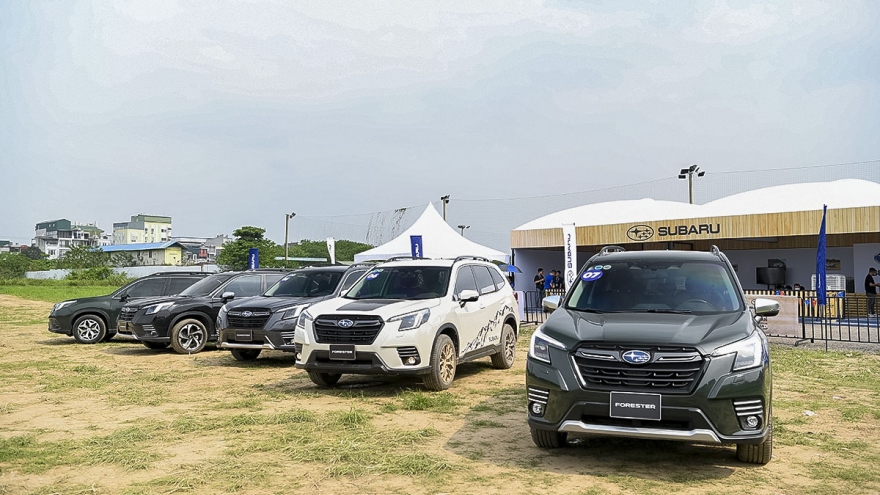 Cơ hội nâng cao kỹ năng đi địa hình và trải nghiệm xe Subaru tại Hà Nội