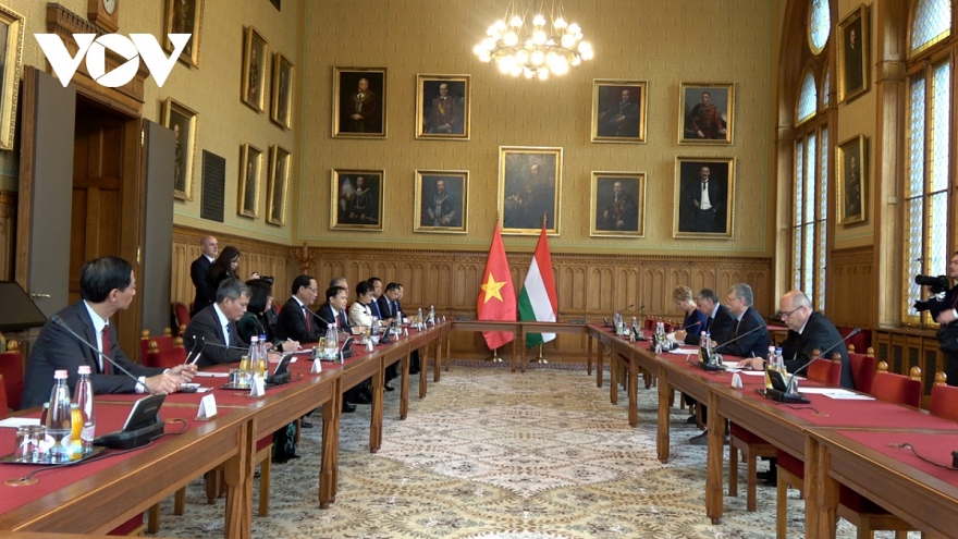 Vietnam affirms close comprehensive partnership with Hungary
