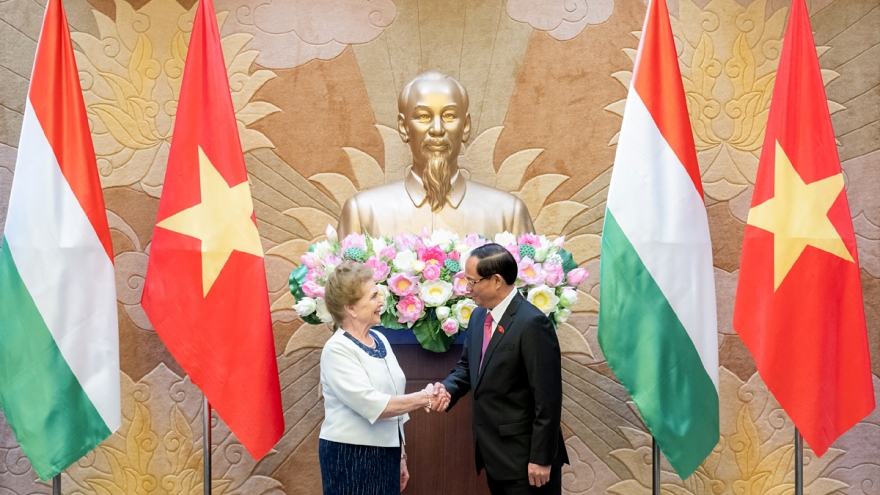 Vietnam and Hungary review effectiveness of cooperation agreements