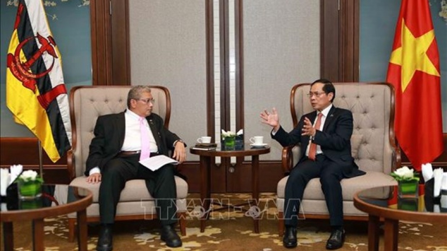 Vietnam, Brunei agree to deepen bilateral cooperation