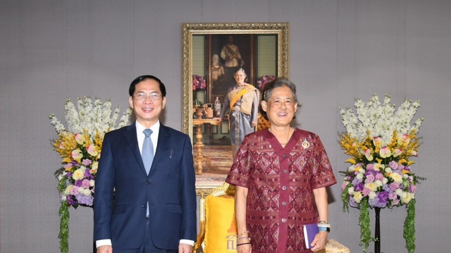Bộ trưởng Bùi Thanh Sơn tiếp kiến Công chúa và chào Thủ tướng Thái Lan