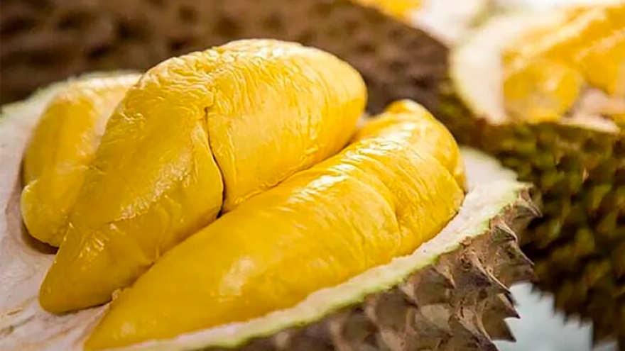 Vietnam outperforms Thailand to emerge as largest durian supplier for China