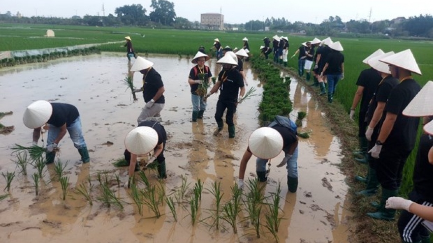 Hanoi eco-farm excursions appeal to foreigner tourists