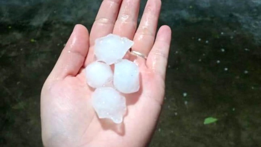 Hail hits Hanoi capital, big trees fall during thunderstorms