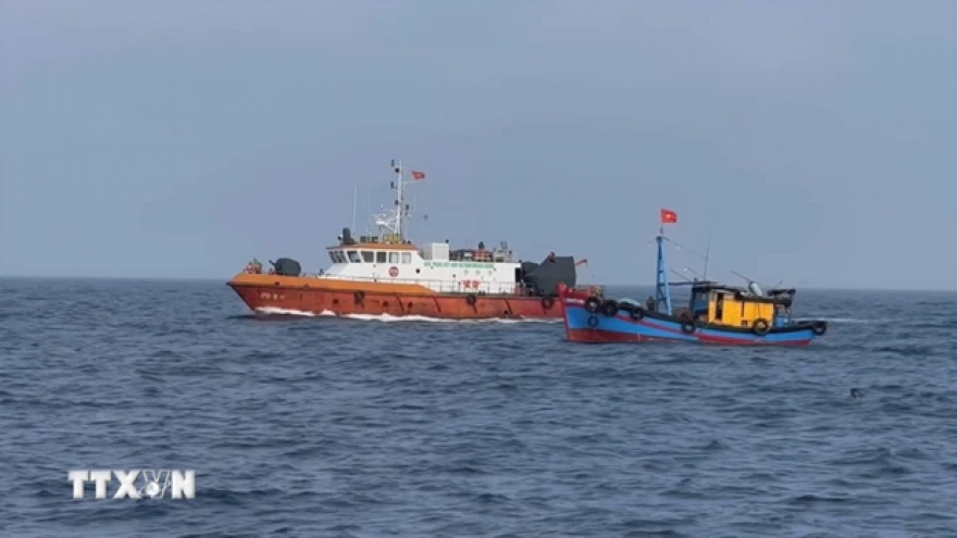 New decrees contribute to perfecting anti-IUU fishing regulations