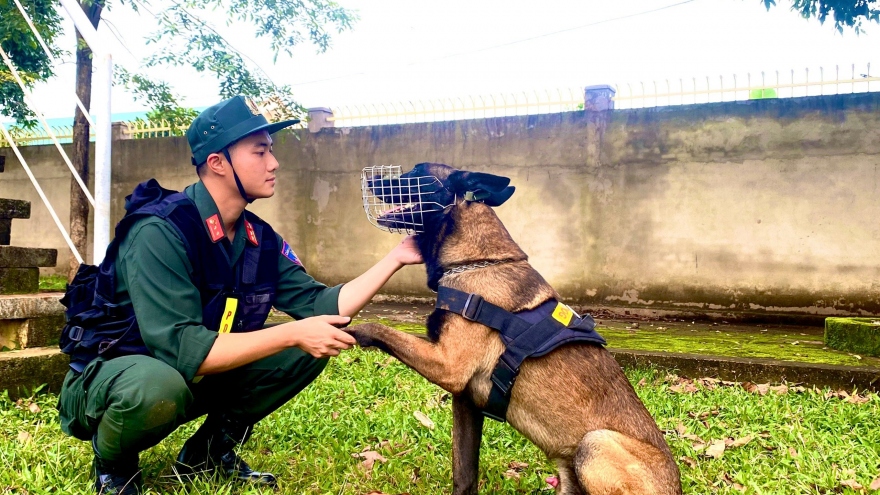 Đóng góp thầm lặng của khuyển binh cảnh sát cơ động