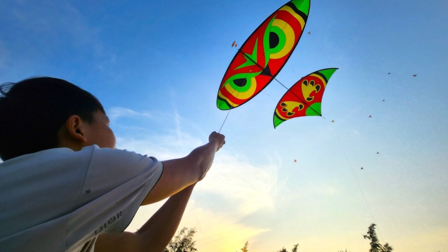 Kite flying festival fascinates visitors