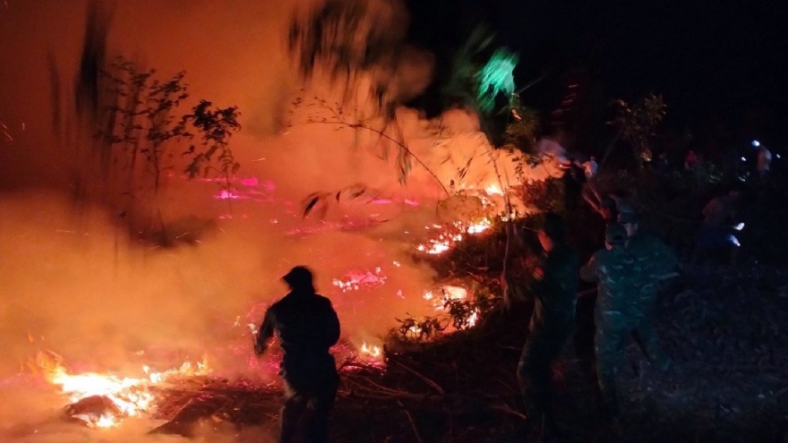 Dập tắt cháy rừng tràm ở Lăng Cô, Thừa Thiên Huế