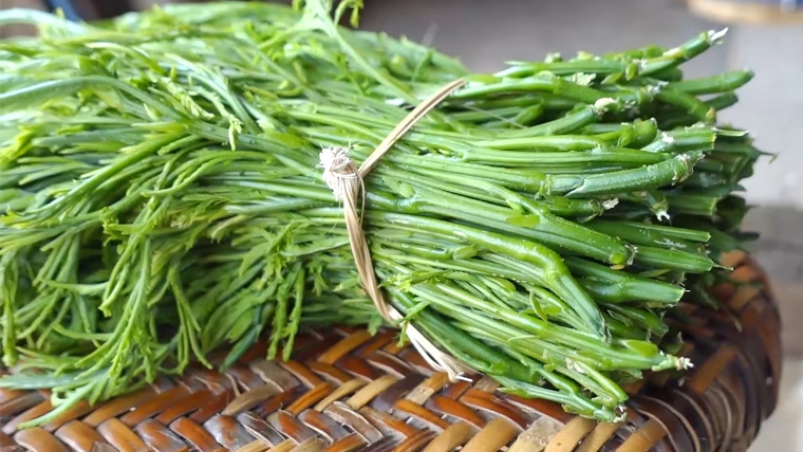 Rau thối – Đặc sản Tây Bắc giá 100.000 đồng/kg có gì đặc biệt?