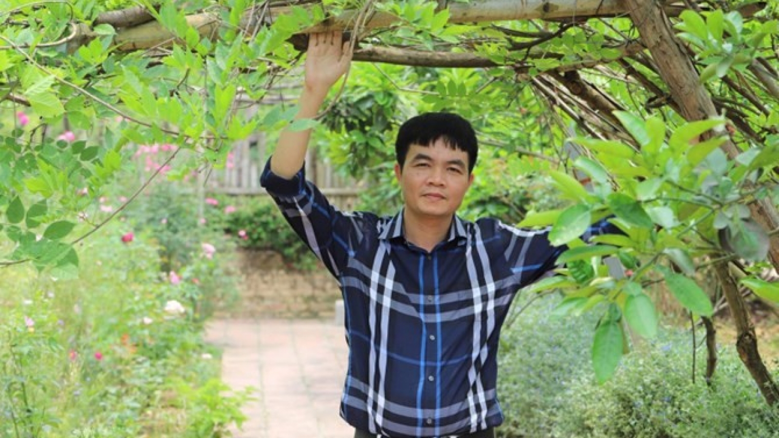 Phạm Duy Nghĩa – Mận trắng và gió xanh