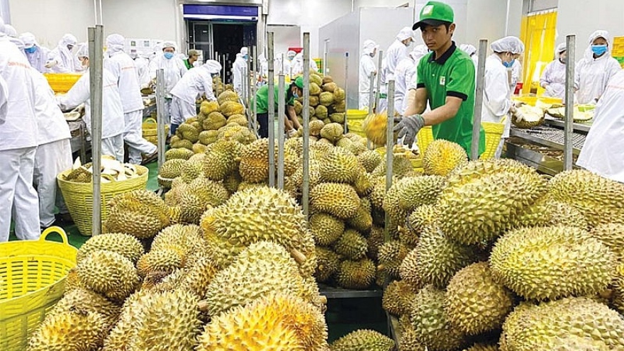 Two-month durian exports reach same level as entirety of 2022