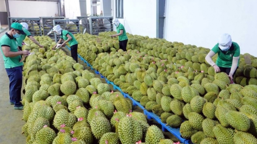 Fruit and vegetable exports to RoK and Thailand surge