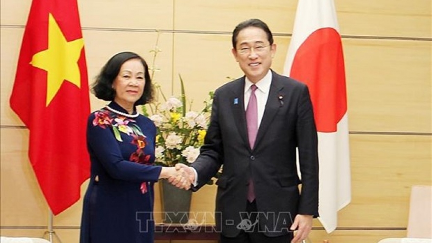 Vietnam sees Japan as important strategic partner: Party official