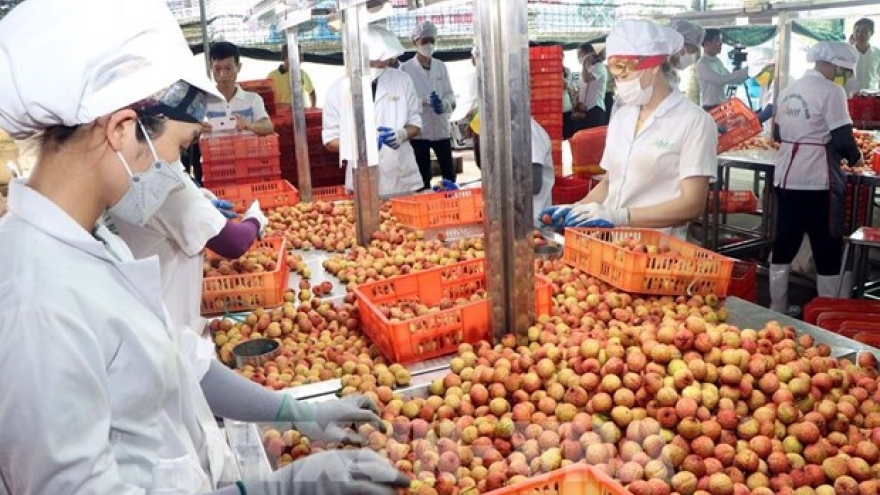 Ample room remains for Vietnam's exports to China