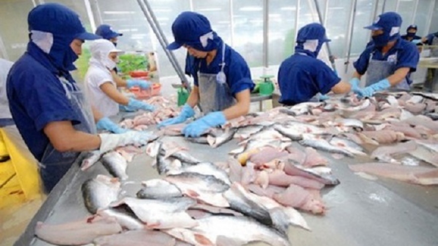 Pangasius exports to UAE surge by 67% in Q1