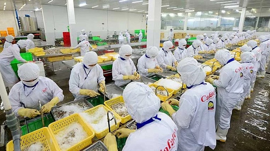 Pangasius export prices to rebound this year