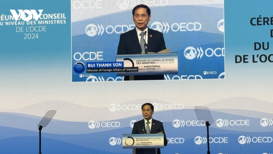 OECD should make headway in global cooperation, says Vietnamese diplomat