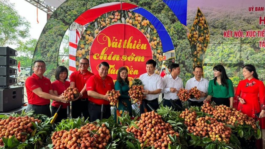 Central Retail plans to sell 300 tonnes of Bac Giang lychees