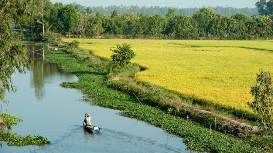 Truyện ngắn “Hương thôn dã”