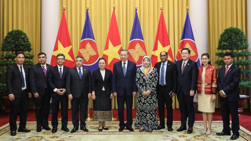 Chủ tịch nước Tô Lâm tiếp Đại sứ các nước ASEAN đến chào và chúc mừng