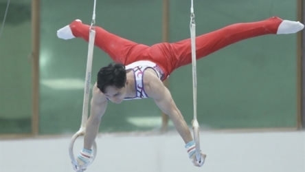 Local gymnasts fail to achieve any Olympic spots