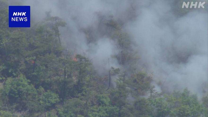 Nhật Bản nỗ lực dập lửa khi cháy rừng tại tỉnh Yamagata kéo dài sang ngày thứ 3